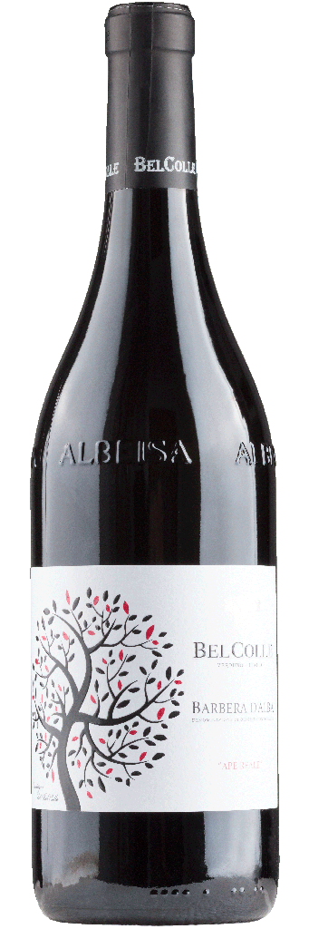 Read more about the article BEL COLLE BARBERA D’ALBA APE REALE