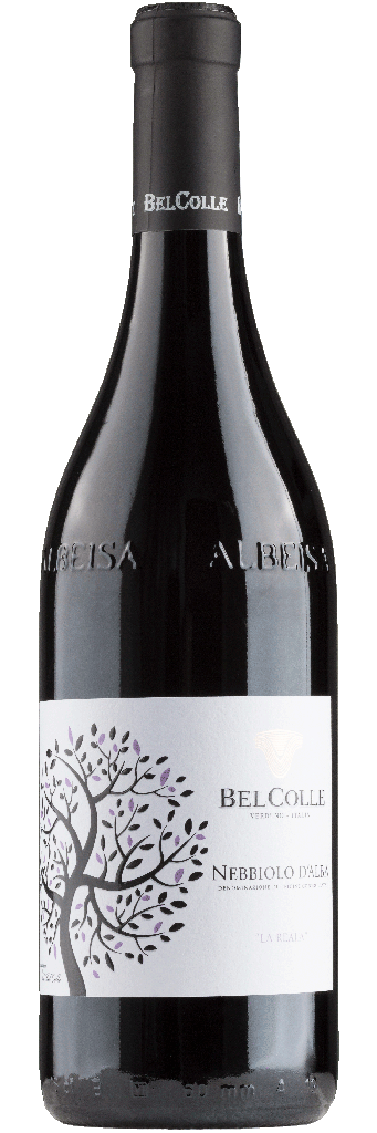 Read more about the article BEL COLLE NEBBIOLO D’ALBA