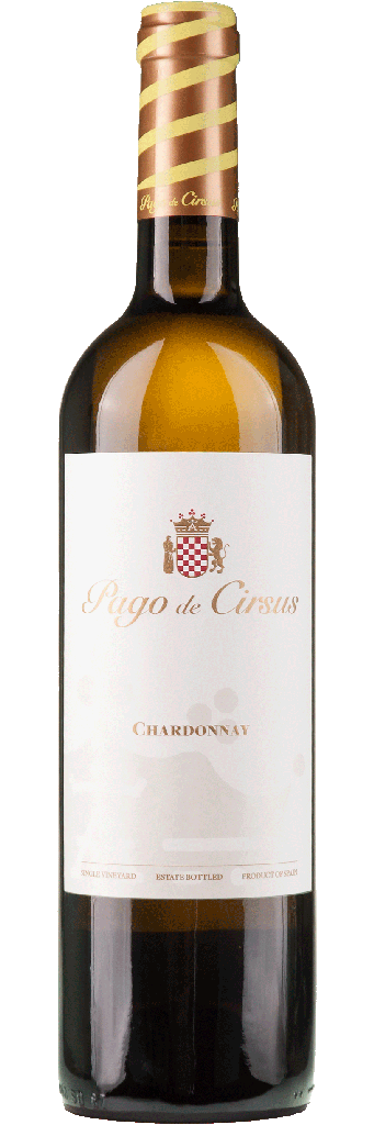 Read more about the article PAGO DE CIRSUS CHARDONNAY