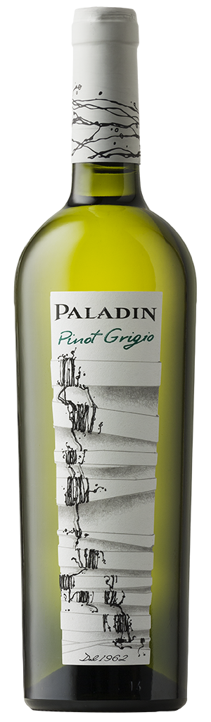 Read more about the article PINOT GRIGIO DOC 2019